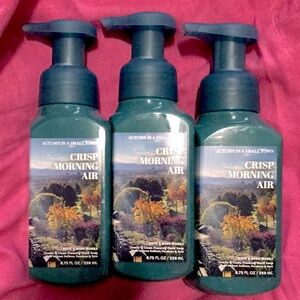 Bath & Body Works- Crisp Morning Air